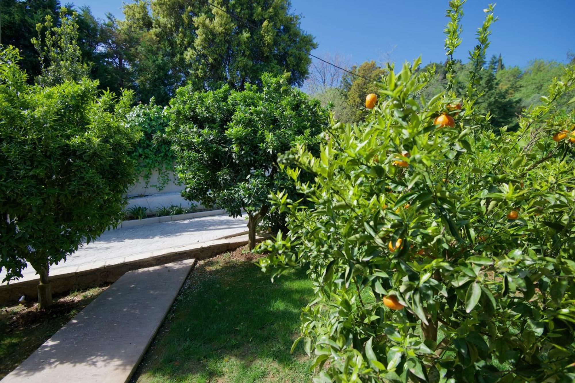 Villa Natilia Gazatika Bagian luar foto